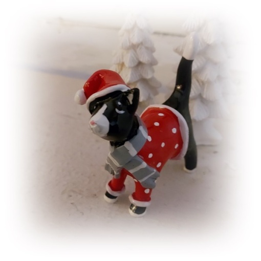 Katten Dolly med vinterkläder..