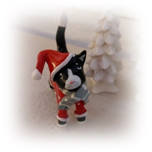 Katten Dolly med vinterkläder..