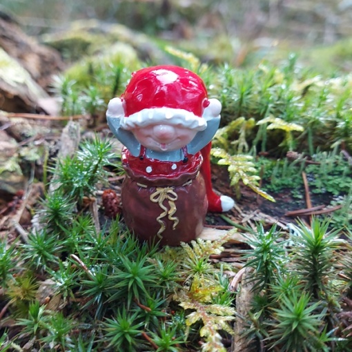 Lille tomtenissen Vimmelsson står i julklappssäcken..